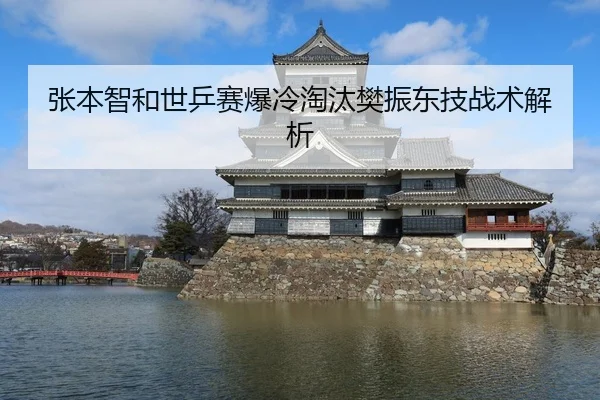 张本智和世乒赛爆冷淘汰樊振东技战术解析